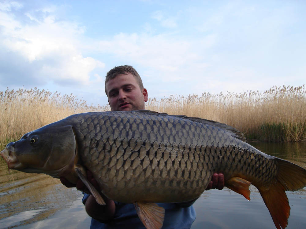 BRIGADA DIVERSE  - DSC00140.JPG